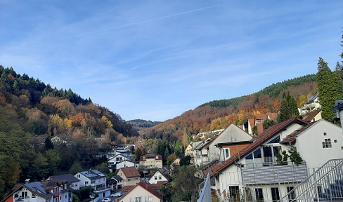 4-Zi-Maisonette-Wohnung mit großer Aussichtsterrasse und EBK