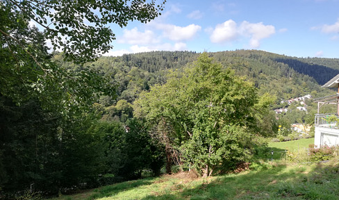 Schönes Baugrundstück mit toller Aussicht