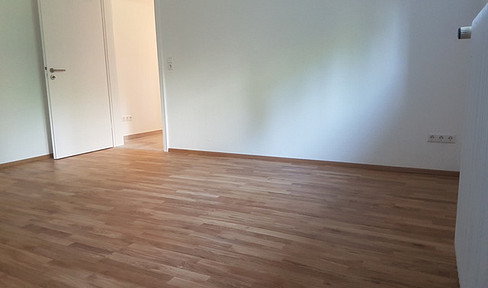 1 ZKB neues Bad, Küche & Elektrik / Lassallestr / Parkett