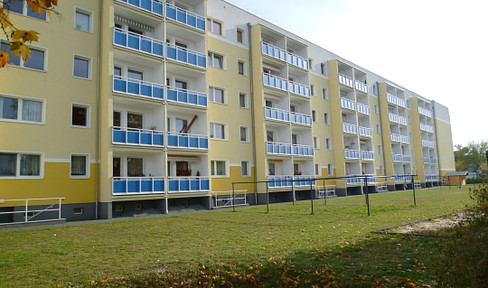 green, quiet, bright, central, Fort Hahneberg, available from 01.01.2025