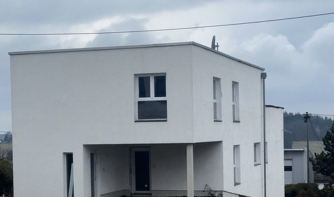 Moderne Büroflächen und Ladenlokal in interessanter Lage