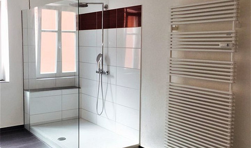 Exklusive moderne Wohnung mit Dachterrasse offener Küche und Kaminanschluss in Stadhaus