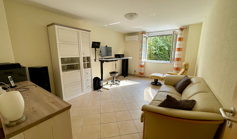 Quiet, bright 2.5-room basement apartment, furnished, fully air-conditioned, parking space, satellite TV, Gigabit internet/Wi-Fi.