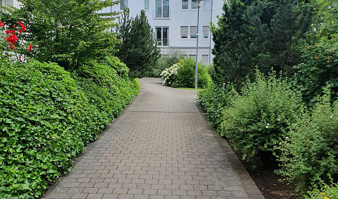 quiet, safe and in the park spacious 2-room apartment with large terrace