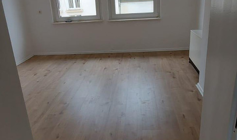 bright, freshly renovated 2-room apartment for rent as of now