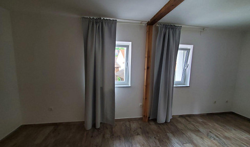 Charming and completely renovated apartment