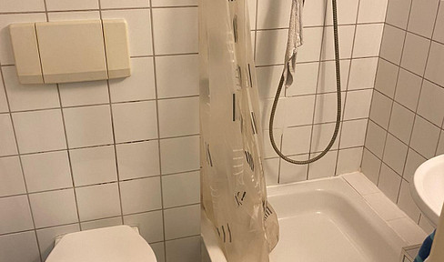 1 Zi Apartment mit Einbauküche und Terrasse