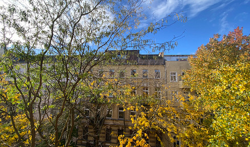 Westhafen Stuckaltbau, sonnig, grün, ruhig, Balkon, hohe Räume