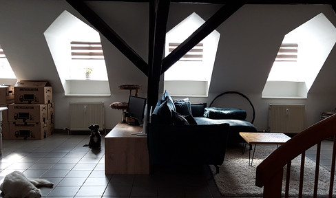 2 room maisonette attic apartment Bad Bergzabern