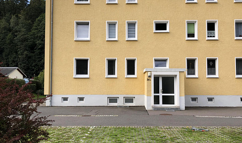Available from September 1st, 2026 – Charming, partially furnished 2-room apartment with a west-facing balcony.