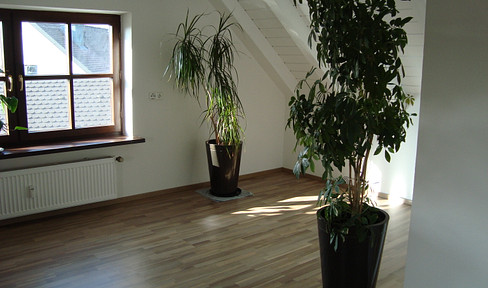 2 Zi.-Whg, DG, stadtnah, im Grünen
