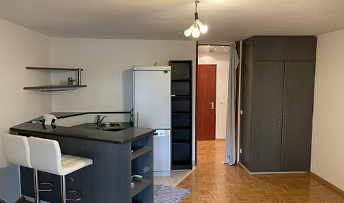 Beautiful 1-room apartment with balcony and fitted kitchen in Fellbach-Schmiden