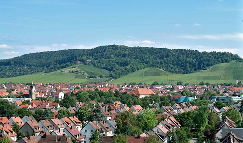 Kleines Wohnparadies – modernes Studio zum Durchstarten