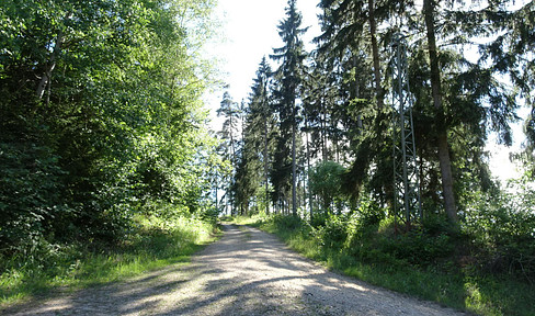 Freistehendes Ferienhaus