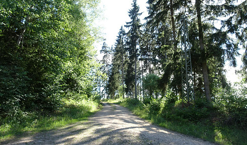 Freistehendes Ferienhaus auf eigenem Waldgrundstück