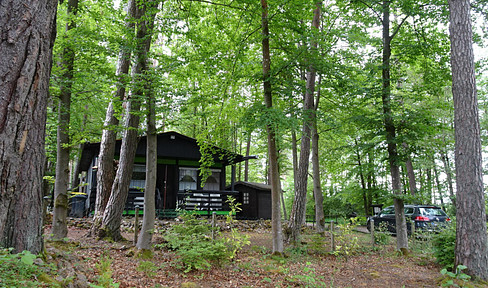 Vacation home – also suitable for permanent living or for renting – located in a wooded, elevated area.