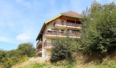 2-room apartment with balcony