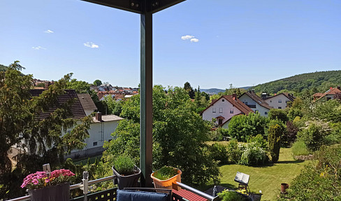 Fantastic family home 63589 Linsengericht/170sqm+82sqm basement/2019/A+/distant view!