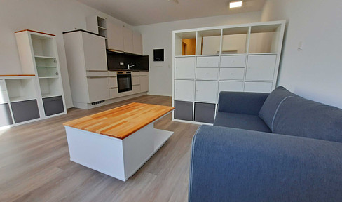 Luxus-Apartment: kompl. möbliert,  Einbauküche + WM+ Hausrat kompl.,kernsaniert, wärmegedämmt