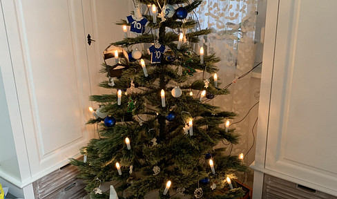 4-room first floor apartment with large terrace for rent in Bammental