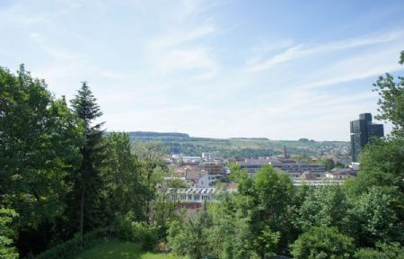 Charmante Altbauwohnung mit bester Aussicht über Lörrach