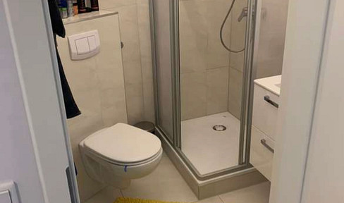 2 room apartment completely renovated with large balcony overlooking greenery