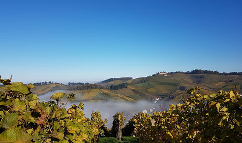 Bauplatz in Durbach, vom Traum zum Raum, Platz für 4 Wohneinheiten
