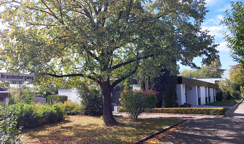 Corner bungalow with separate granny annexe with beautiful garden in exposed location