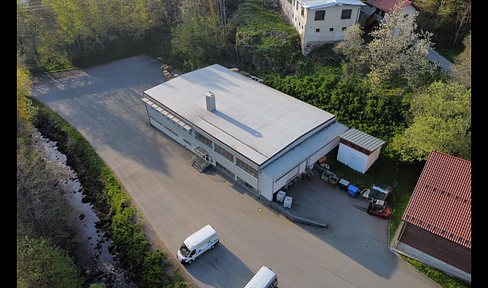 Gewerbe-Produktionshalle zum Kauf