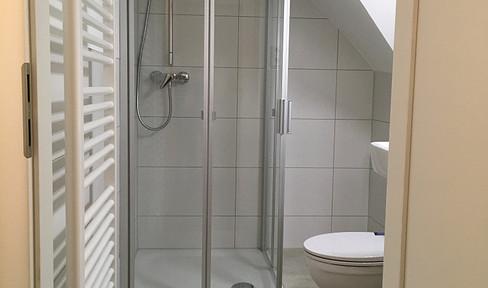 For sale by private individual. Completely renovated in 2021, 2.5 rooms, attic apartment, located in S-Zuffenhausen, near Stadtpark, with easy access to the S-Bahn (suburban train) and the A81 highway.