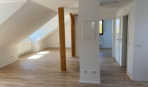 Bright new 3ZKB DG apartment in 3 FMH