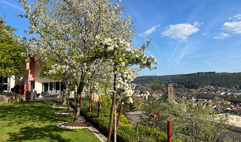 Villa in Südlage mit Weitblick - Provisionsfrei!