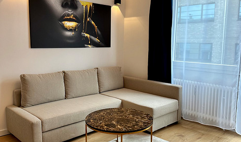 Great city apartment / good transport connections