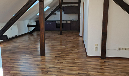 Amerikanische 2-Raum Wohnung in Kleinwelka