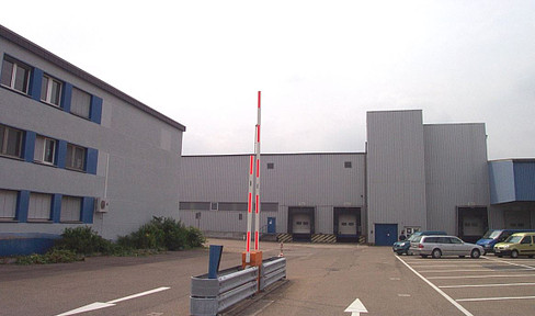 Warehouse 2700 m² with 2 gates and office 200 m² for rent in Ludwigshafen