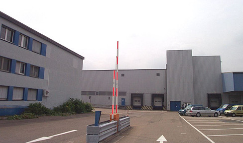 Lagerhalle 2700 m² mit 2 Toren und Büro 200 m² in Ludwigshafen (auch Teilflächen ab 900 m²)