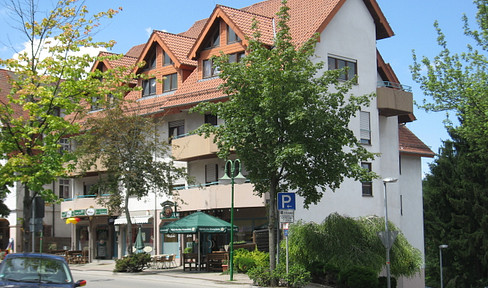 Schömberg - Schöne gepflegte 3 Zimmer Dachgeschosswohnung zu vermieten Whg13 (ID 114)