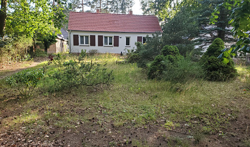 Baugrundstück für 2 Einfamilienhäuser, mit kleinem Haus in Basdorf  Waldheim Wandlitz