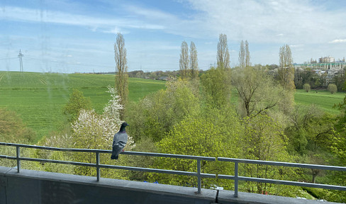 renovierte Einraumwohnung mit Balkon