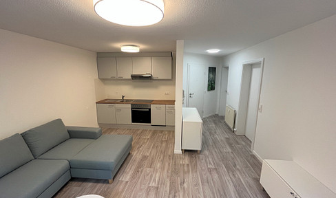Modern furnished apartment with top connections Basement apartment