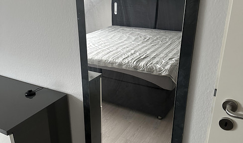 Fully furnished 2 room apartment in Mannheim