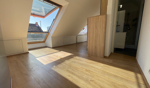 Bright penthouse with roof terrace in beautiful Neckarau