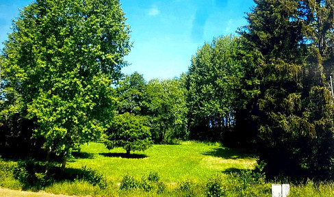 Building plot for sale in a vacation home area in 34508 Willingen - Usseln