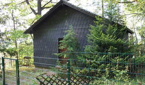 Forest house in solitary location
