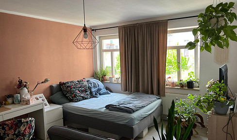 Brilliant location: 100m to the city center, room with garden and balcony