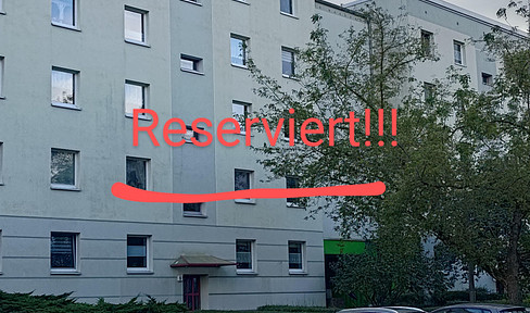 3-room ground floor apartment with balcony in Potsdam Waldstadt II, located in a green area