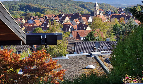 Spacious, sun-drenched architect's house with wonderful views in TÜ-Hagelloch