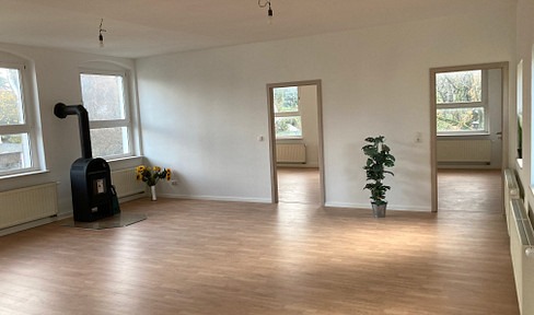 4 Raum Wohnung, Kaminofen, Balkon, 120 m2 1.OG, mitten in ZR , Gemeinschaftsgarten