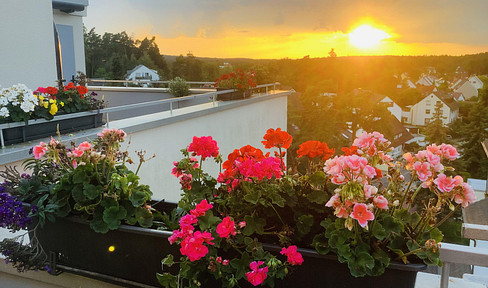 Nature & central 4-room penthouse apartment with far-reaching views over Weiherhof