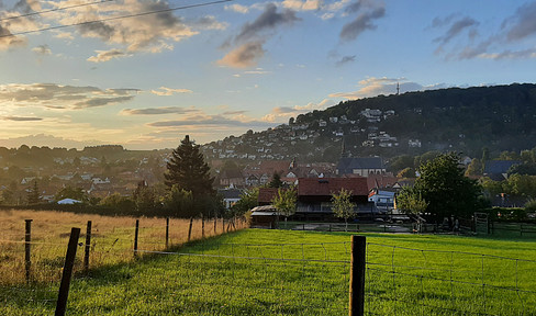 Baugrundstück mit kleinen Bestand, direkt in Büdingen super Lage